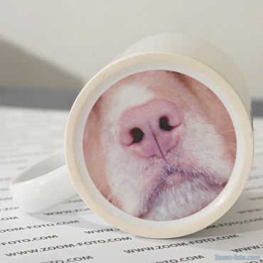 Печать на чашке - весёлый нос Собака